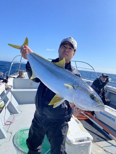 ヒラマサの釣果