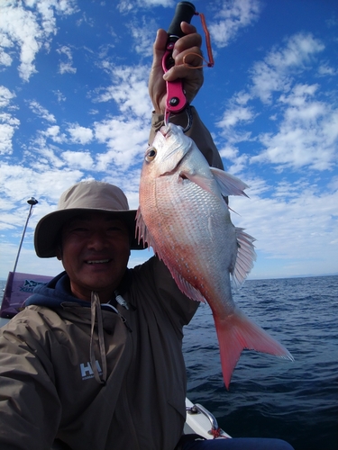 マダイの釣果