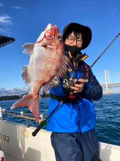 マダイの釣果