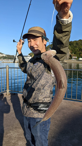 エソの釣果