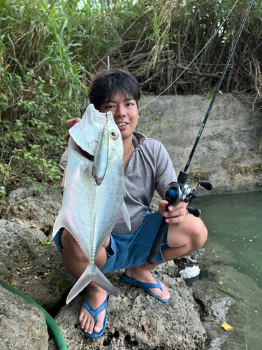 ロウニンアジの釣果