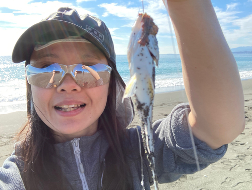 コトヒキの釣果