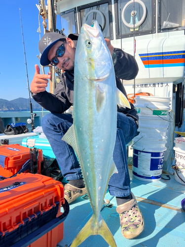 ブリの釣果