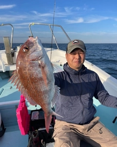 マダイの釣果