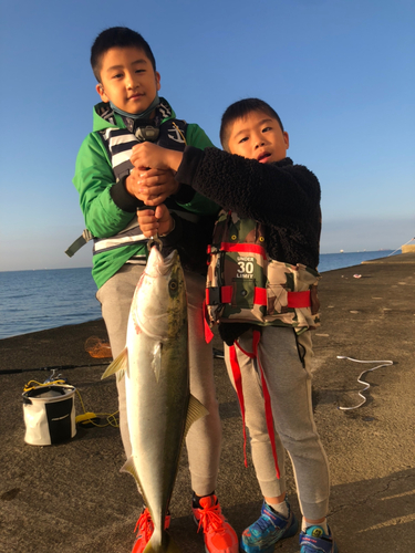 メジロの釣果