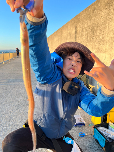 アナゴの釣果