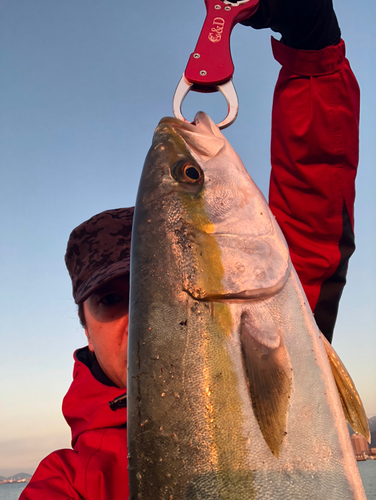 メジロの釣果