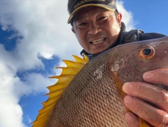 シブダイの釣果