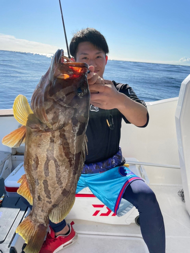 オオモンハタの釣果