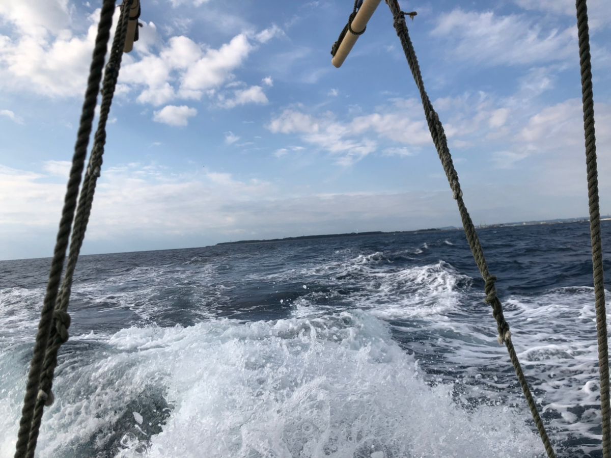 運任せアングラーさんの釣果 2枚目の画像