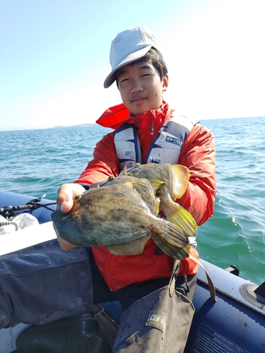 カワハギの釣果