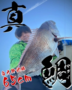 マダイの釣果