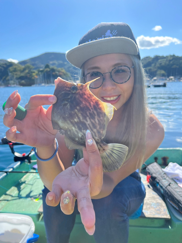 カワハギの釣果