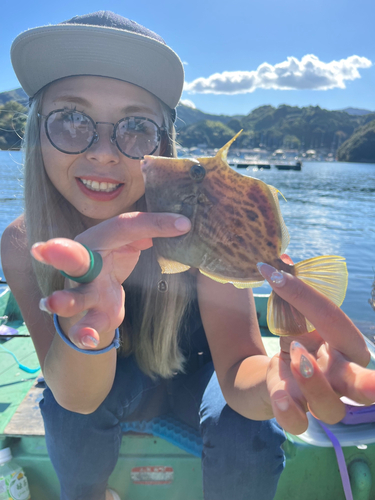 カワハギの釣果