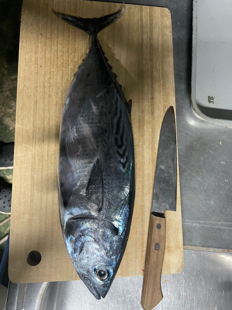 ブーヤンさんの釣果 1枚目の画像