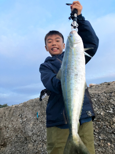 ツムブリの釣果