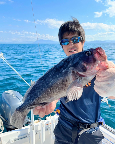 クロソイの釣果