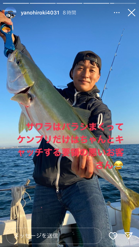 ブリの釣果