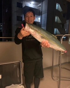 ヤズの釣果