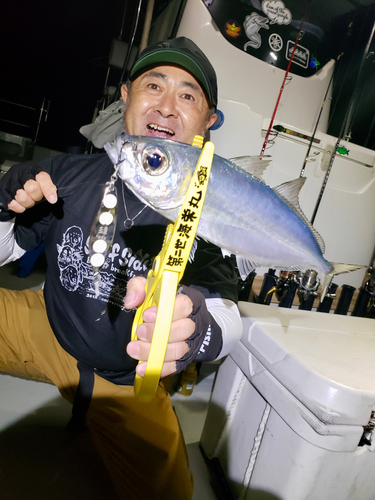 メアジの釣果