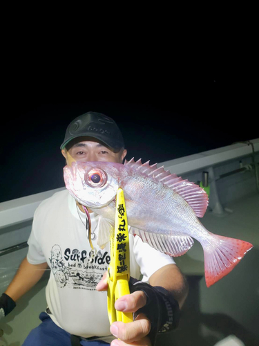 ゴマヒレキントキの釣果