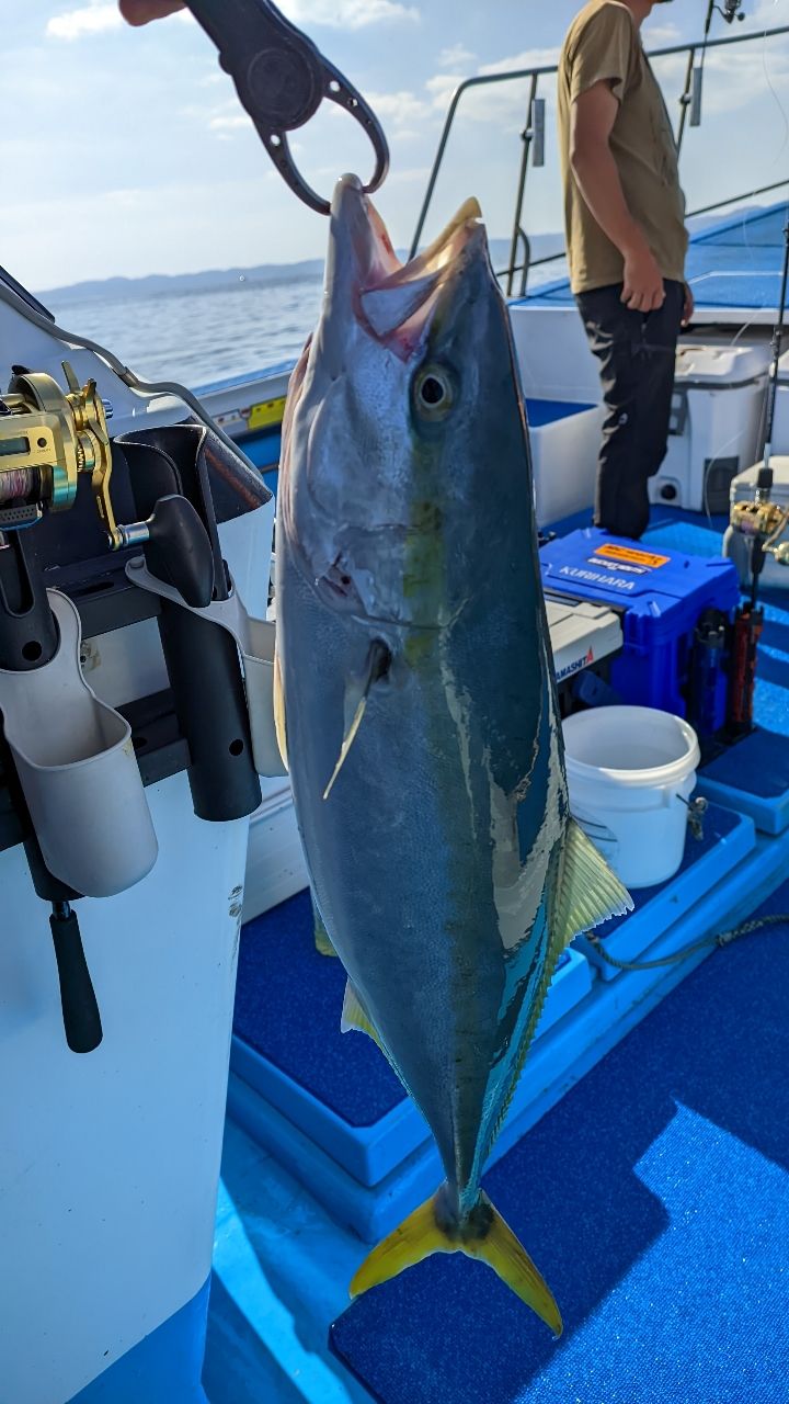 🎣みやもん🎣さんの釣果 3枚目の画像