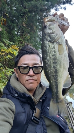 ラージマウスバスの釣果