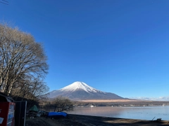 ワカサギの釣果