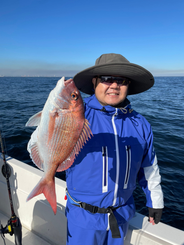 マダイの釣果