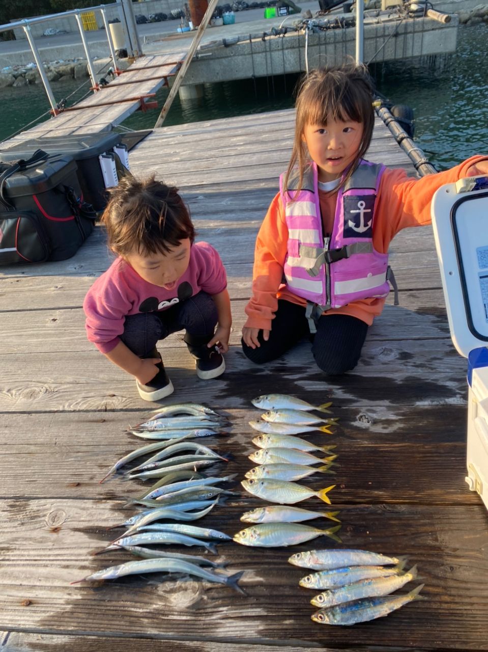 あんぐらーKAIさんの釣果 2枚目の画像