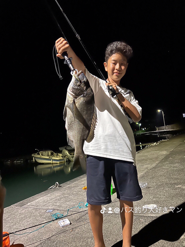 チヌの釣果