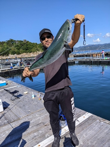 メジロの釣果