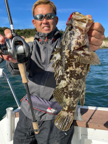 ベッコウゾイの釣果