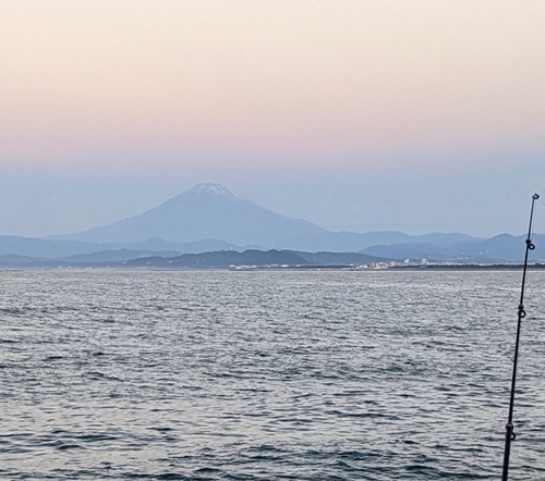 イシモチの釣果