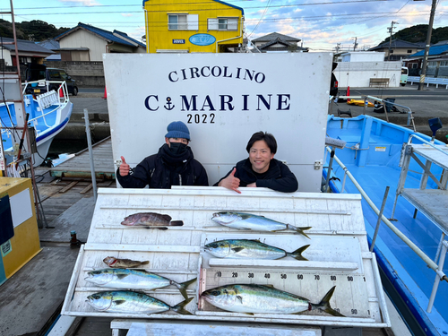 ワラサの釣果