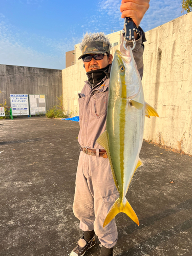 メジロの釣果