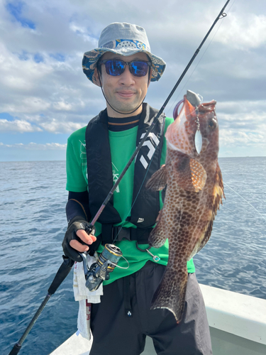 オオモンハタの釣果