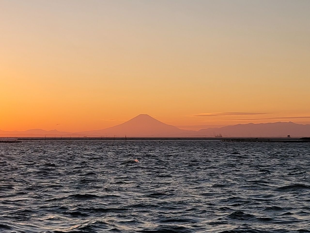 ボラ