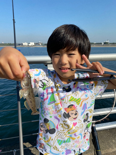 アナハゼの釣果