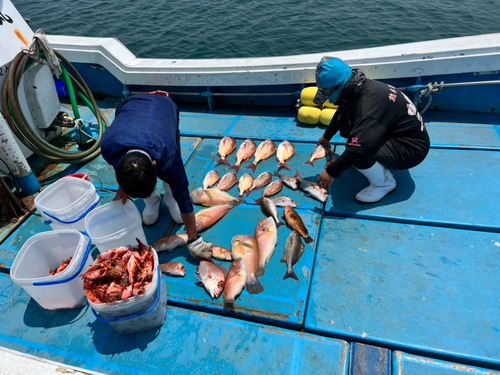 タイの釣果