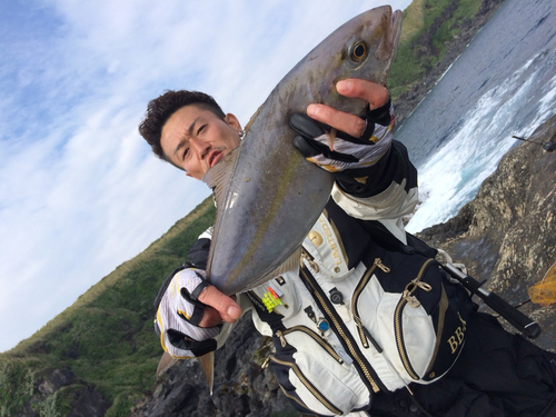 カンパチの釣果