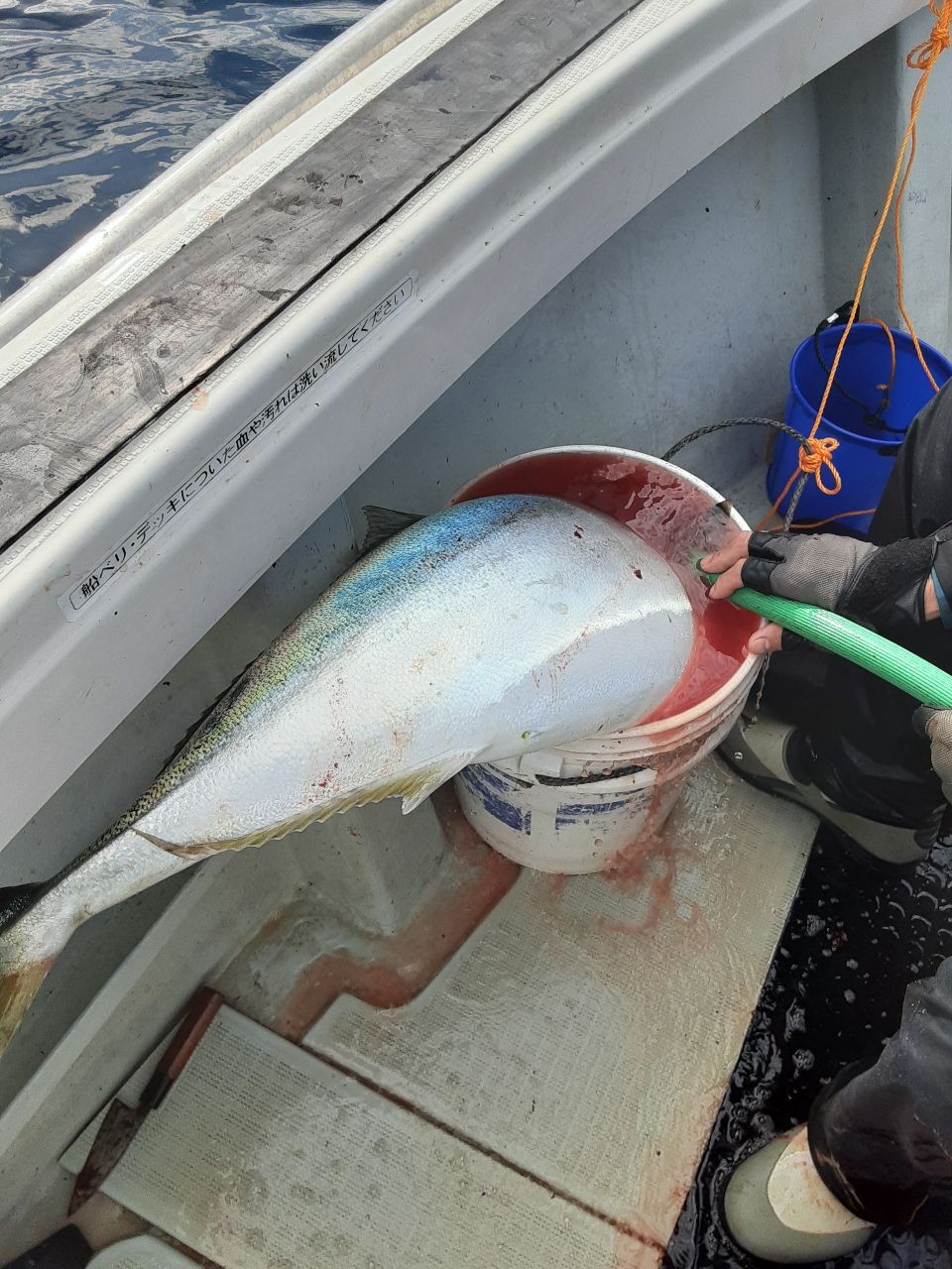 遊漁船 海峰さんの釣果 2枚目の画像