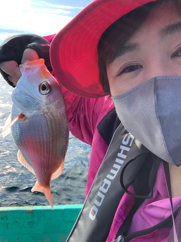 レンコダイの釣果