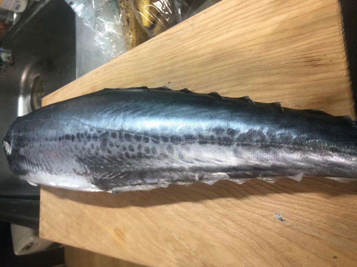 しがない田舎者の釣り日記さんの釣果 2枚目の画像