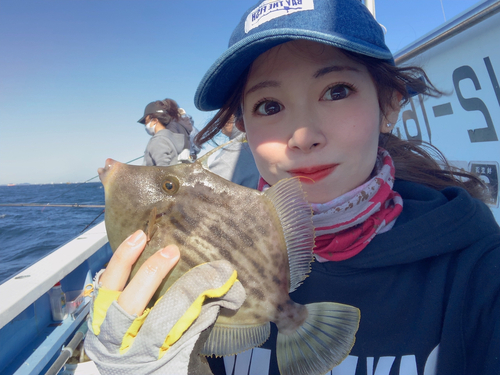 カワハギの釣果