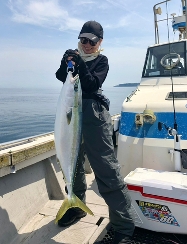 ブリの釣果