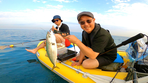 イナダの釣果