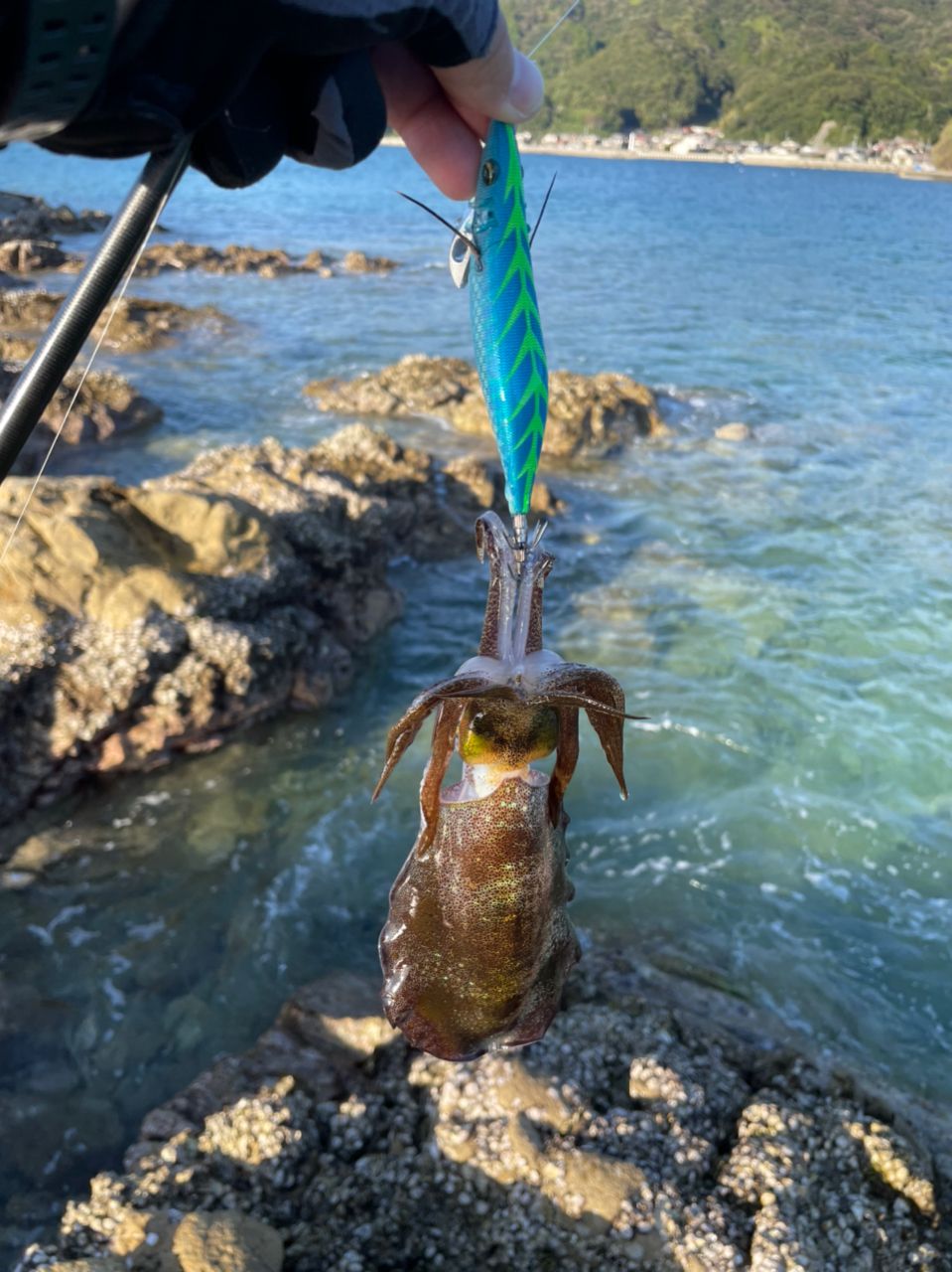 ちょいアホひでさんの釣果 2枚目の画像