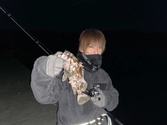 オウゴンムラソイの釣果