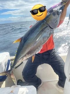 キハダマグロの釣果